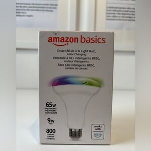 Amazon Basics Smart BR30 LED Light Bulb